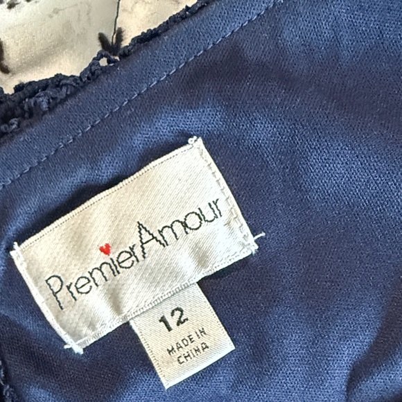 Chic Navy Lace Midi Dress 
Great for the holidays or a formal event - Picture 6 of 6